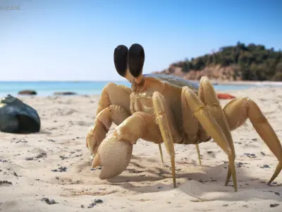  Ghost Crab Crustacean Beige Moving Pose Fur 