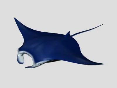  Fish Collection 06 Low-poly 3D model