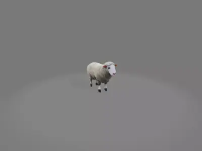 Sheep 3D model purchase