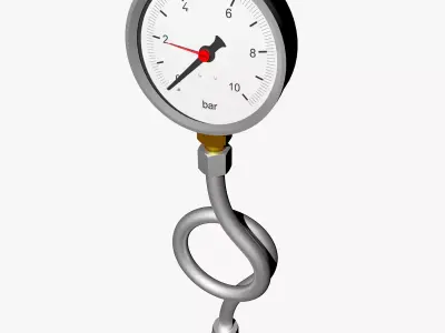 Pressure gauge and siphon tube 3D model
