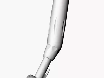 dental angle  3D model