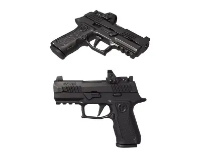 P320 RXP XCOMPAC 3D print model