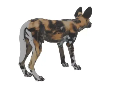 African Wild Dog Low-poly 3D model