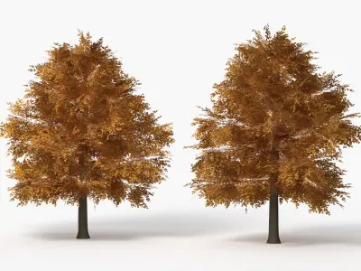 Lowpoly Realistic Autumn American Beech Tree 3D model