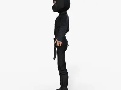 Ninja Rigged 3D model