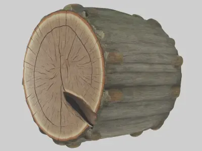 Treetrunk Model Low-poly 3D model