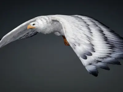 Eagle-B3 3D model