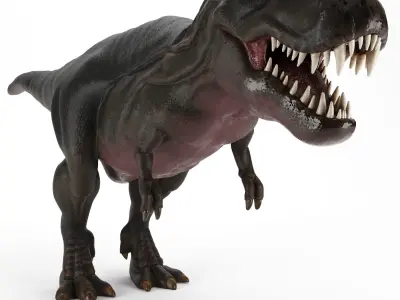 TIRANOSAURUS REX 3D model