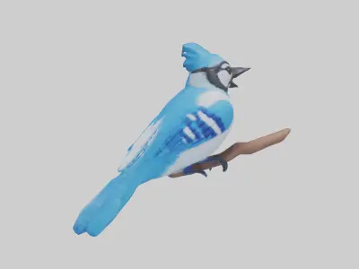 Blue Jay singing model Low-poly 3D model
