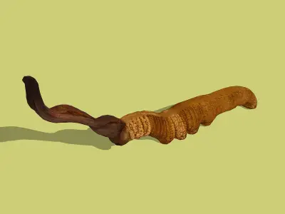 Cordyceps Low-poly 3D model