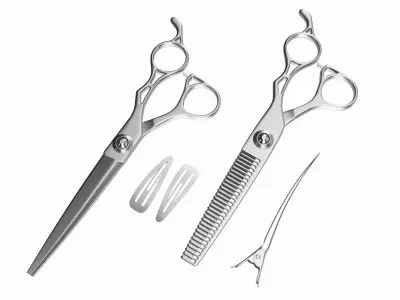 Hair Cutting Thinning Scissors Set Steel 3D model