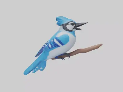 Blue Jay singing model Low-poly 3D model