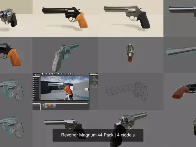 Revolver Magnum 44 Pack