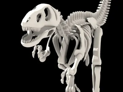 Dinosaurus skeleton Low-poly 3D model