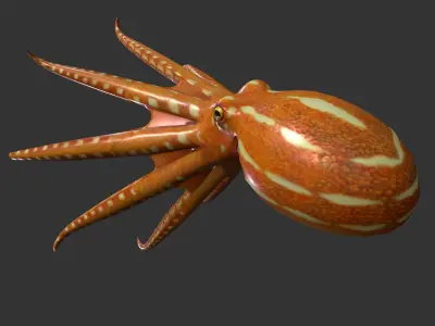 Octopus Low-poly 3D model get