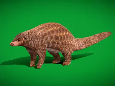 Pangolins Scaly Anteater Free low-poly 3D model