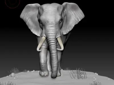 elephnt 3D model