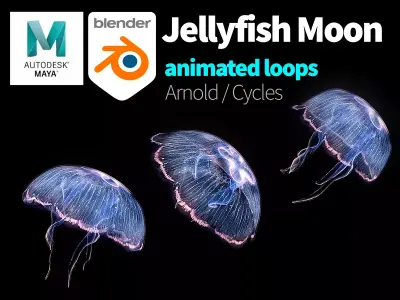 Jellyfish Moon Low-poly 3D model