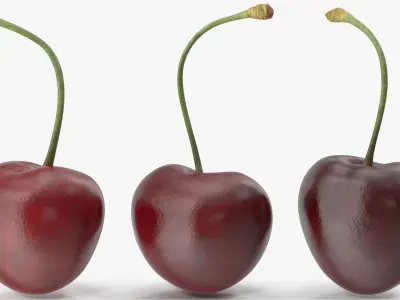 Cherries 3D model purchase