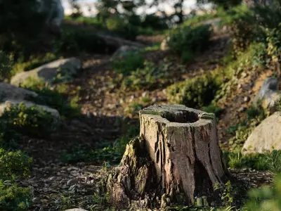  Short Cut Decaying Hollow Stump Model 