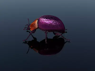 Besouro Inseto 3D model