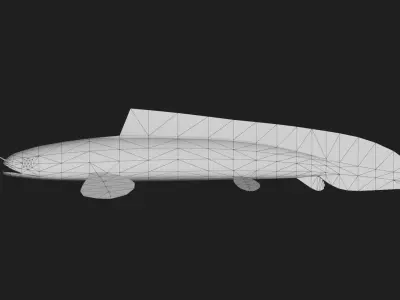 Bichir Low-poly 3D model 4