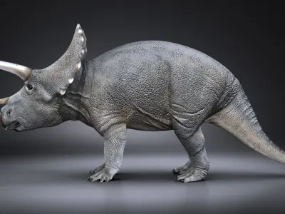 Triceratops dinosaur 3D model purchase