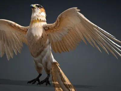 Hawk-A5 3D model