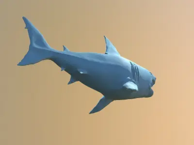 Simplistic Great White Shark Free 3D print model