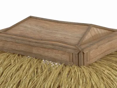 Hammock Canopy with Wooden Poles and Grass Roof Brown 3D model