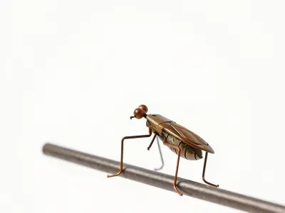 Realistic Insect Model Pack  Detailed and Versatile Low-poly 3D model