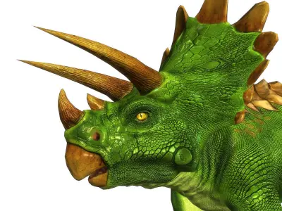 3Dfoin - Triceratops  Low-poly 3D model