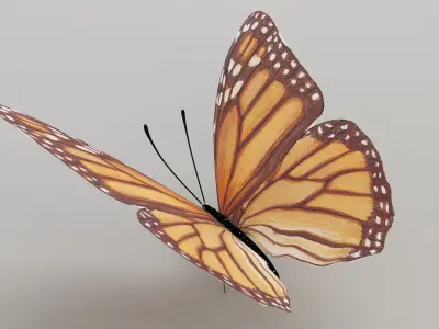 butterfly monarch 3D model buy