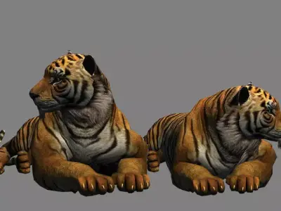 big tiger 3D model