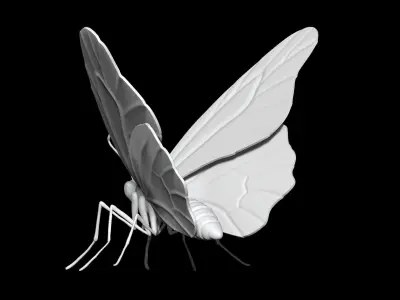 high poly butterfly 3D print model