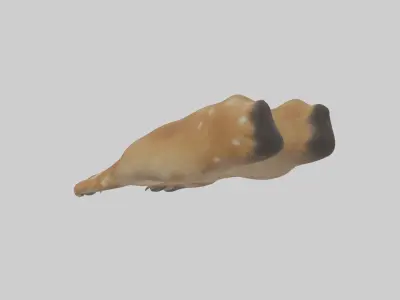Dog Paws Low-poly 3D model