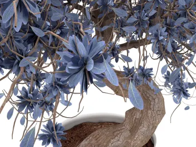 3D Flower-pot bonsai tree Low-poly 3D model