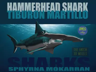 Hammerhead Shark 3D model get