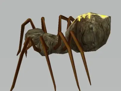 Spider Low-poly 3D model order