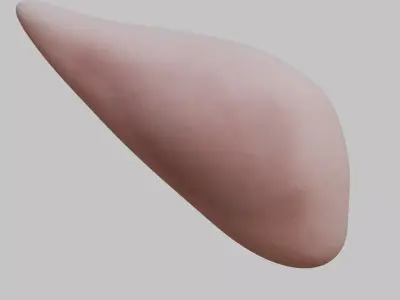 Stylized elf ear Low-poly 3D model