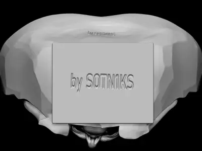 Napoleone Buonaparte 3D print model