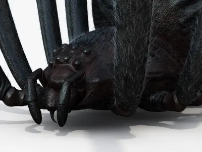Black Widow Rigged Animated 8K PBR Textures 3D model