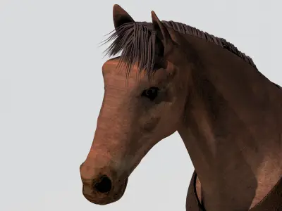 Western Wagon 2 3D model