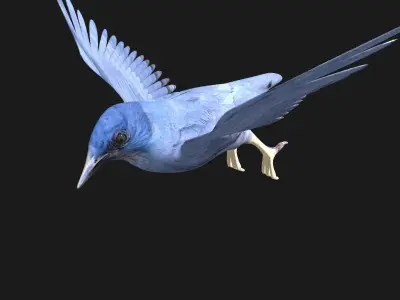 blue bird animated 3D model