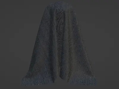 Cloak Free 3D model