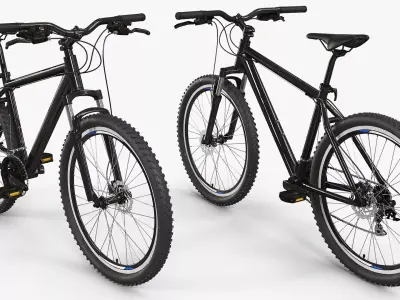 Cross Country Hardtail Bicycle Gray Black Rigged 3D model purchase