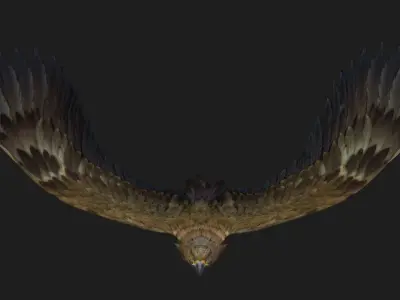 Eagle-B1 3D model