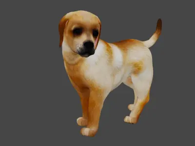 Dog X1 Low-poly 3D model