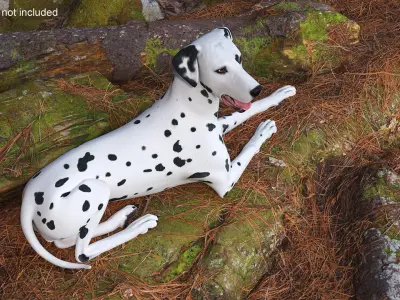 Lying Dalmatian Dog 3D model