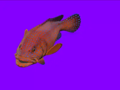 Fish Animation 3d model Low-poly 3D model